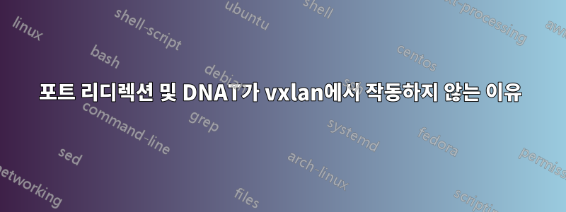 포트 리디렉션 및 DNAT가 vxlan에서 작동하지 않는 이유