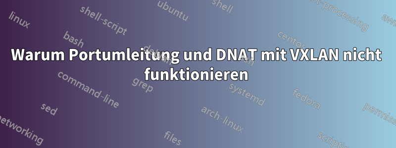 Warum Portumleitung und DNAT mit VXLAN nicht funktionieren