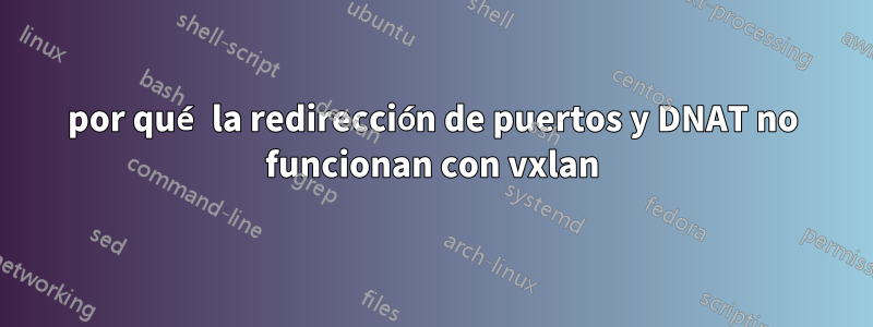 por qué la redirección de puertos y DNAT no funcionan con vxlan