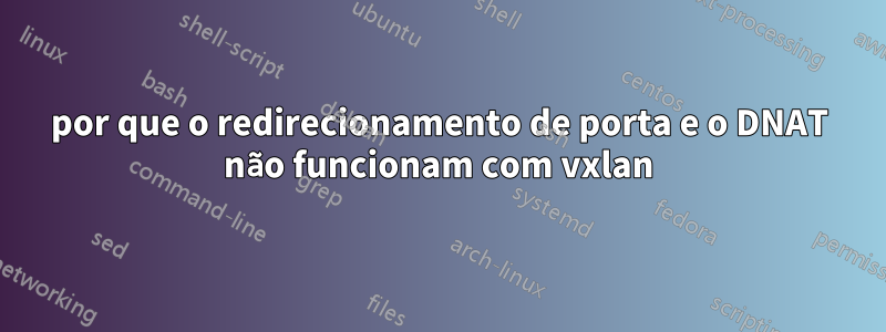 por que o redirecionamento de porta e o DNAT não funcionam com vxlan