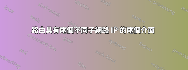 路由具有兩個不同子網路 IP 的兩個介面