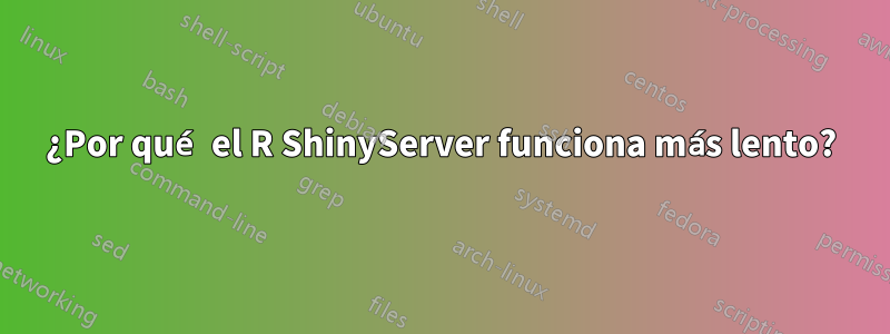 ¿Por qué el R ShinyServer funciona más lento?