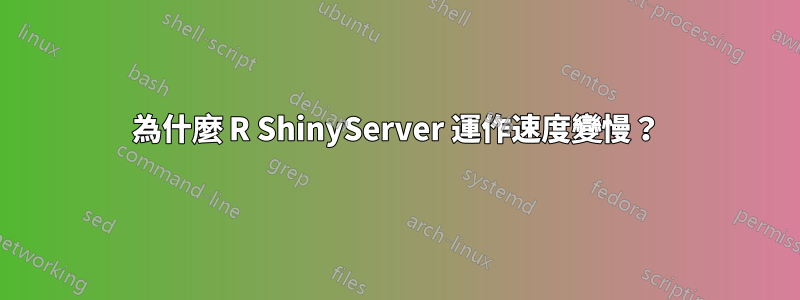 為什麼 R ShinyServer 運作速度變慢？