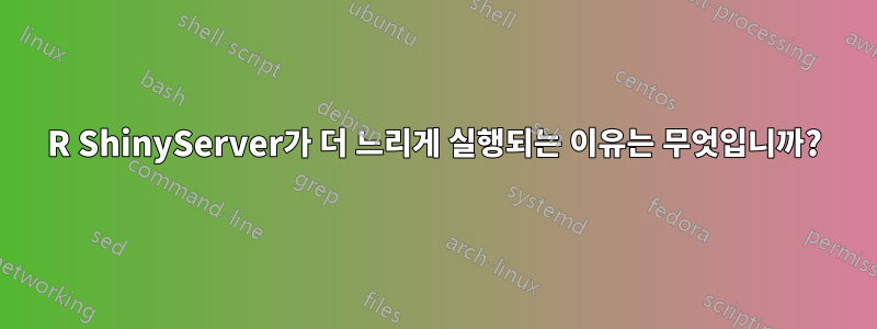 R ShinyServer가 더 느리게 실행되는 이유는 무엇입니까?