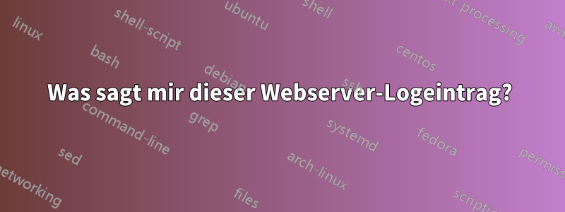 Was sagt mir dieser Webserver-Logeintrag?
