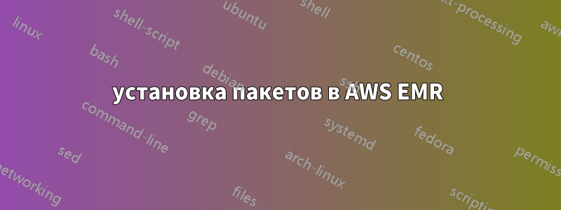 установка пакетов в AWS EMR
