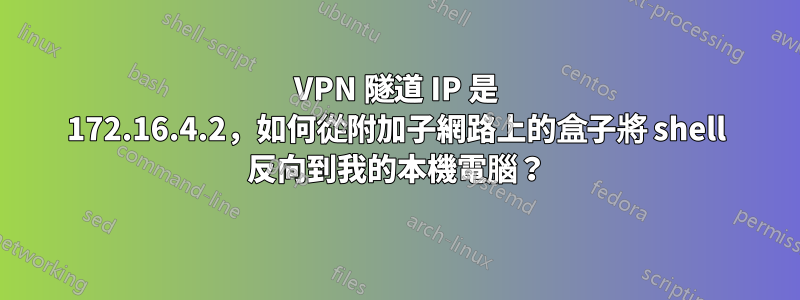 VPN 隧道 IP 是 172.16.4.2，如何從附加子網路上的盒子將 shell 反向到我的本機電腦？