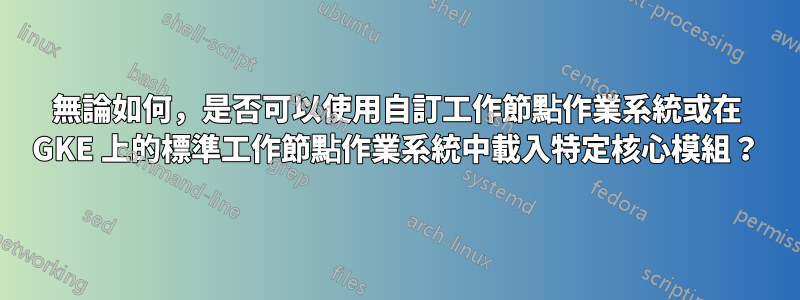 無論如何，是否可以使用自訂工作節點作業系統或在 GKE 上的標準工作節點作業系統中載入特定核心模組？