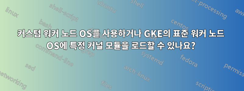 커스텀 워커 노드 OS를 사용하거나 GKE의 표준 워커 노드 OS에 특정 커널 모듈을 로드할 수 있나요?