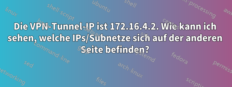 Die VPN-Tunnel-IP ist 172.16.4.2. Wie kann ich sehen, welche IPs/Subnetze sich auf der anderen Seite befinden?