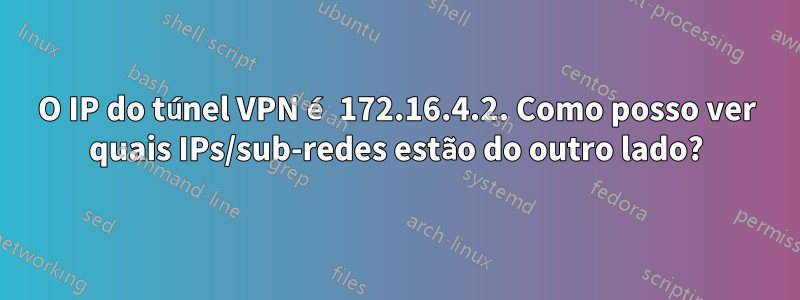 O IP do túnel VPN é 172.16.4.2. Como posso ver quais IPs/sub-redes estão do outro lado?