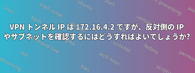 VPN トンネル IP は 172.16.4.2 ですが、反対側の IP やサブネットを確認するにはどうすればよいでしょうか?