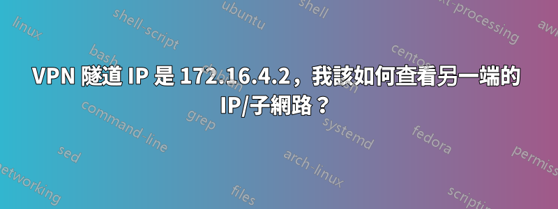 VPN 隧道 IP 是 172.16.4.2，我該如何查看另一端的 IP/子網路？