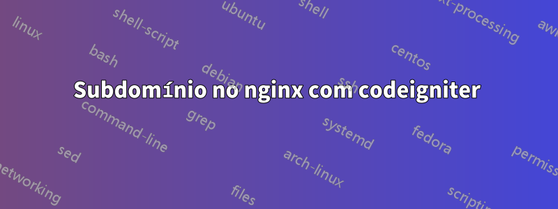 Subdomínio no nginx com codeigniter