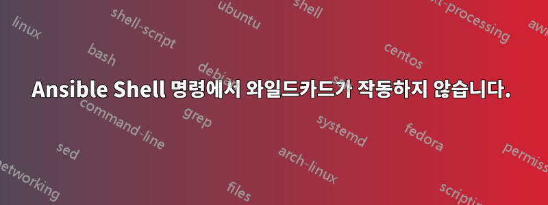 Ansible Shell 명령에서 와일드카드가 작동하지 않습니다.