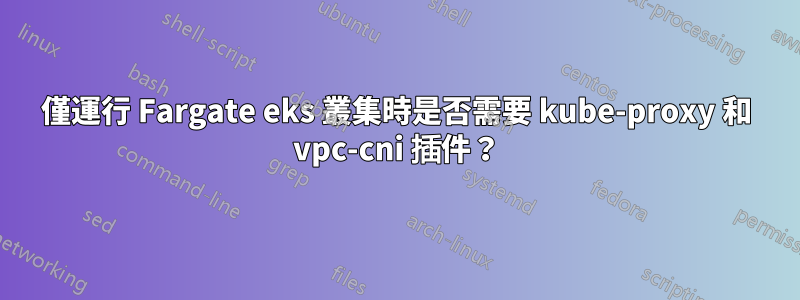 僅運行 Fargate eks 叢集時是否需要 kube-proxy 和 vpc-cni 插件？