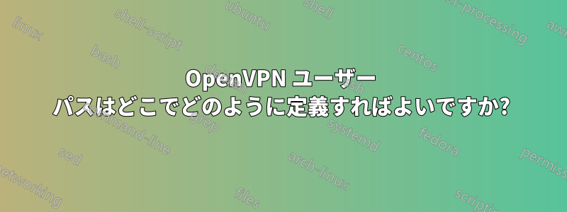 OpenVPN ユーザー パスはどこでどのように定義すればよいですか?