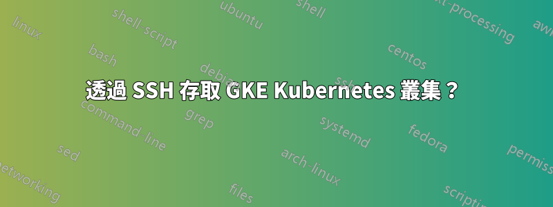 透過 SSH 存取 GKE Kubernetes 叢集？