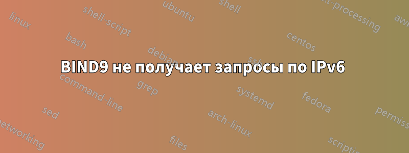 BIND9 не получает запросы по IPv6