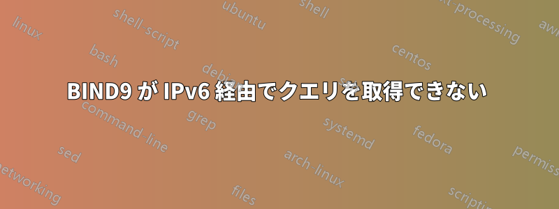 BIND9 が IPv6 経由でクエリを取得できない