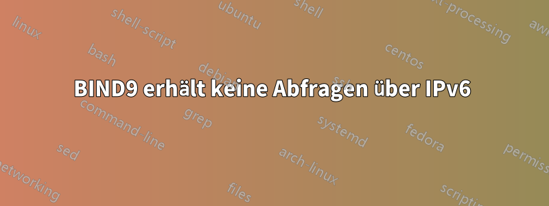 BIND9 erhält keine Abfragen über IPv6