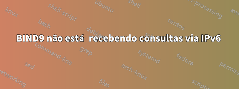 BIND9 não está recebendo consultas via IPv6