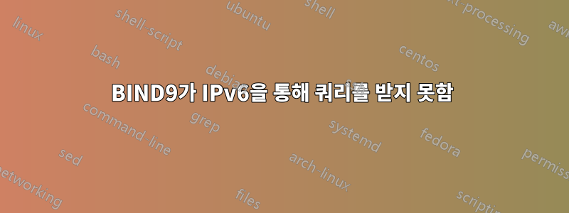 BIND9가 IPv6을 통해 쿼리를 받지 못함
