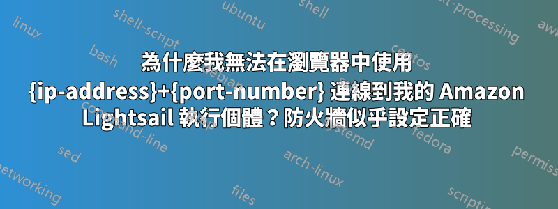為什麼我無法在瀏覽器中使用 {ip-address}+{port-number} 連線到我的 Amazon Lightsail 執行個體？防火牆似乎設定正確