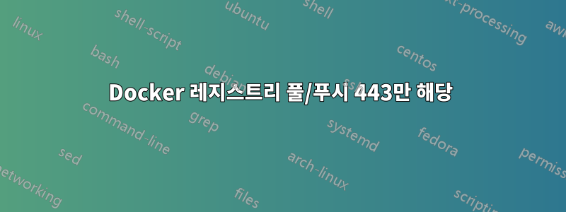 Docker 레지스트리 풀/푸시 443만 해당