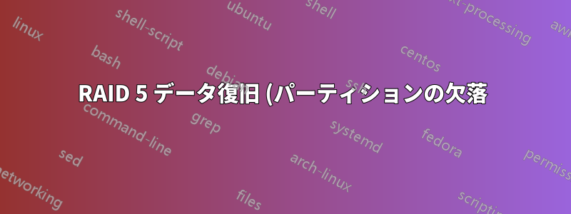 RAID 5 データ復旧 (パーティションの欠落)