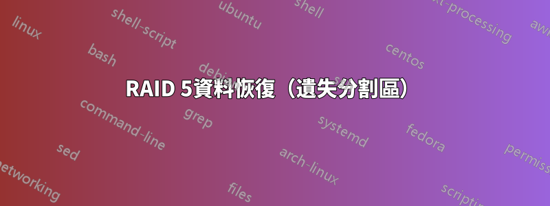 RAID 5資料恢復（遺失分割區）