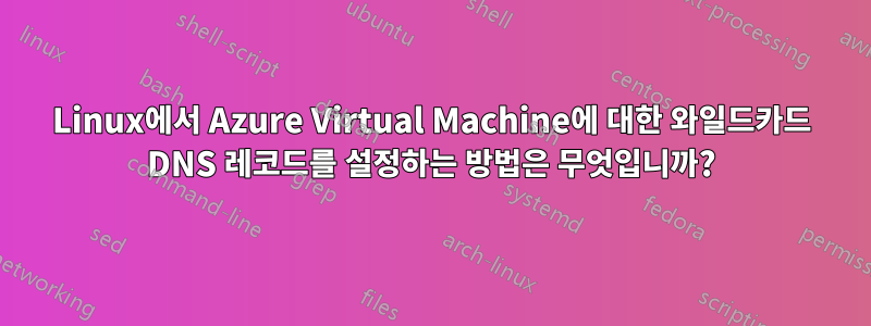 Linux에서 Azure Virtual Machine에 대한 와일드카드 DNS 레코드를 설정하는 방법은 무엇입니까?