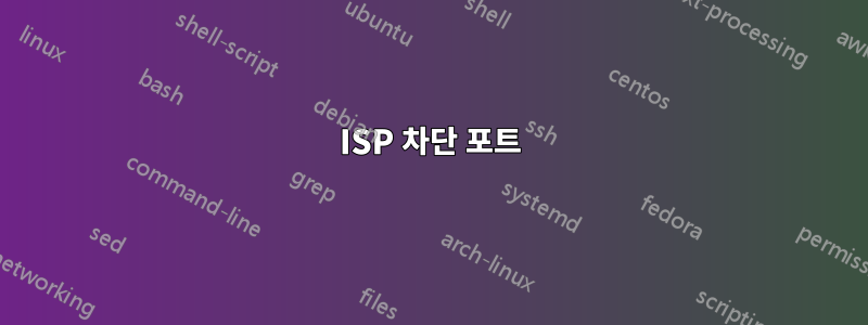 ISP 차단 포트