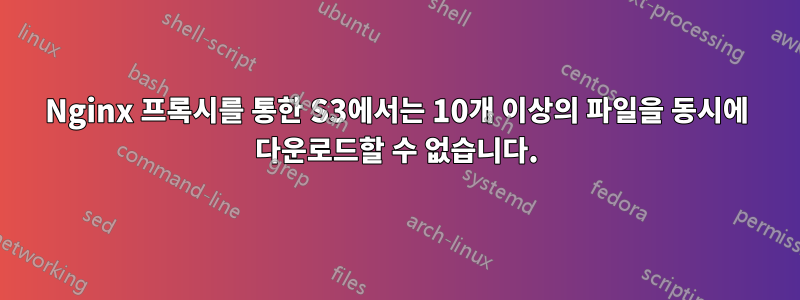 Nginx 프록시를 통한 S3에서는 10개 이상의 파일을 동시에 다운로드할 수 없습니다.
