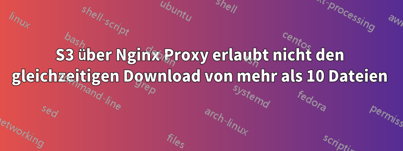 S3 über Nginx Proxy erlaubt nicht den gleichzeitigen Download von mehr als 10 Dateien