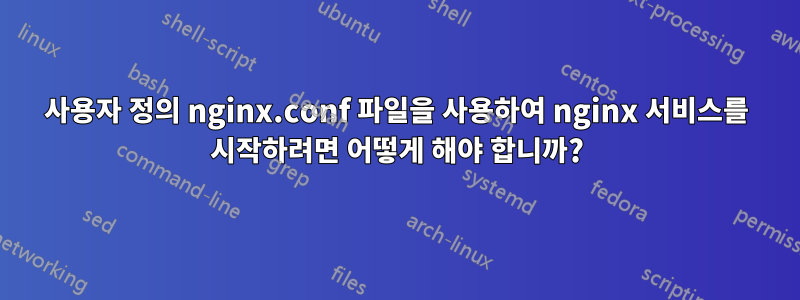 사용자 정의 nginx.conf 파일을 사용하여 nginx 서비스를 시작하려면 어떻게 해야 합니까?