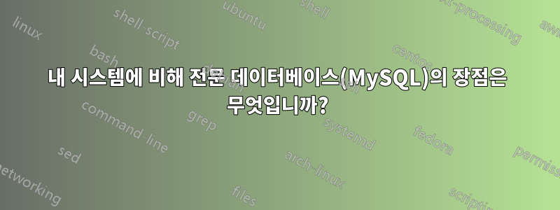 내 시스템에 비해 전문 데이터베이스(MySQL)의 장점은 무엇입니까?