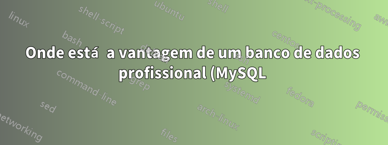 Onde está a vantagem de um banco de dados profissional (MySQL) em relação ao meu sistema?