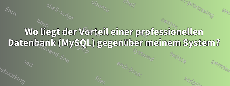 Wo liegt der Vorteil einer professionellen Datenbank (MySQL) gegenüber meinem System?