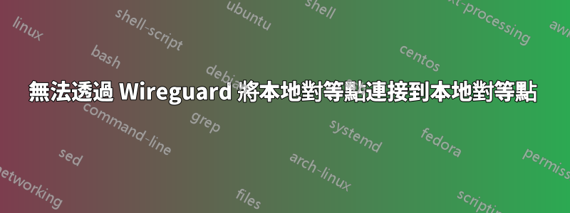 無法透過 Wireguard 將本地對等點連接到本地對等點
