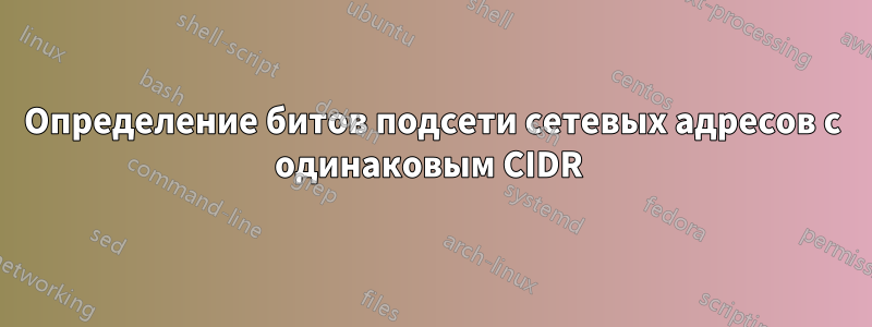 Определение битов подсети сетевых адресов с одинаковым CIDR 