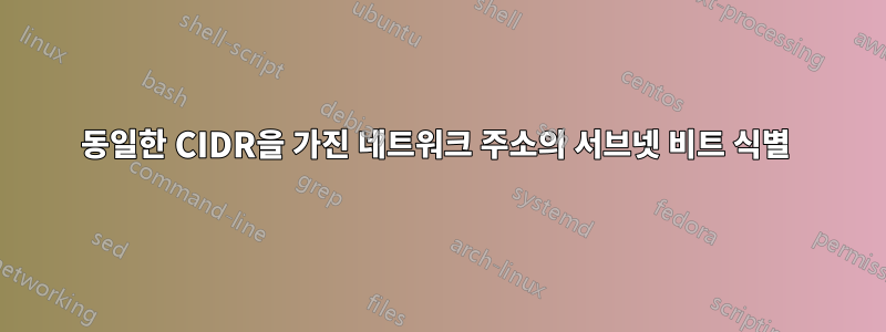 동일한 CIDR을 가진 네트워크 주소의 서브넷 비트 식별 