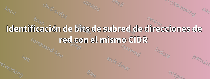 Identificación de bits de subred de direcciones de red con el mismo CIDR 