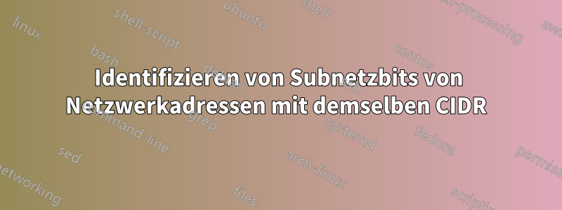 Identifizieren von Subnetzbits von Netzwerkadressen mit demselben CIDR 