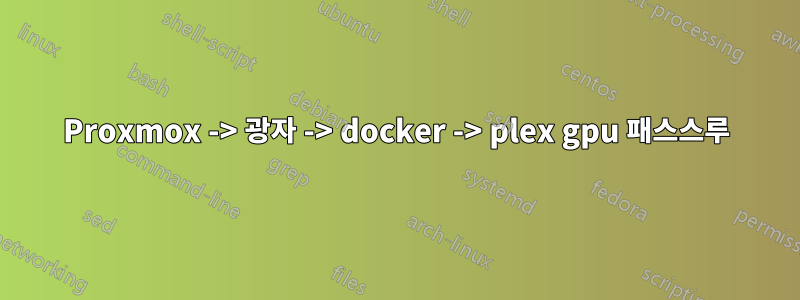 Proxmox -> 광자 -> docker -> plex gpu 패스스루