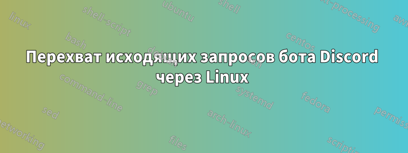 Перехват исходящих запросов бота Discord через Linux
