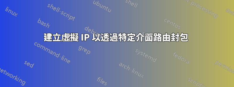 建立虛擬 IP 以透過特定介面路由封包
