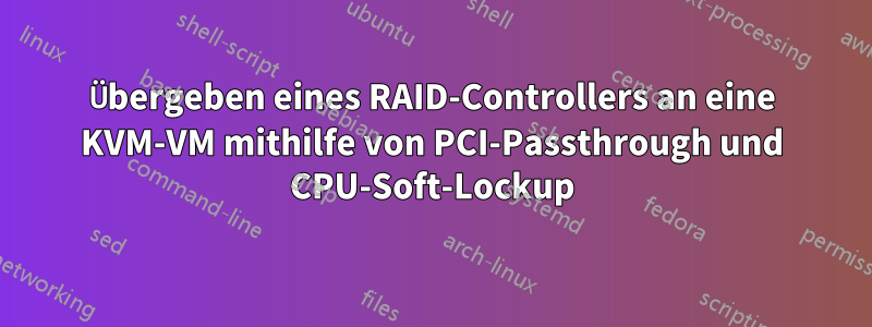 Übergeben eines RAID-Controllers an eine KVM-VM mithilfe von PCI-Passthrough und CPU-Soft-Lockup
