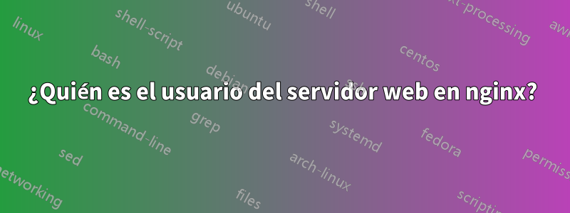 ¿Quién es el usuario del servidor web en nginx?