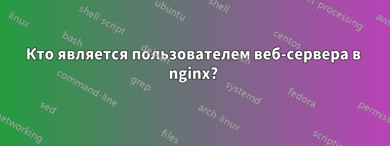Кто является пользователем веб-сервера в nginx?
